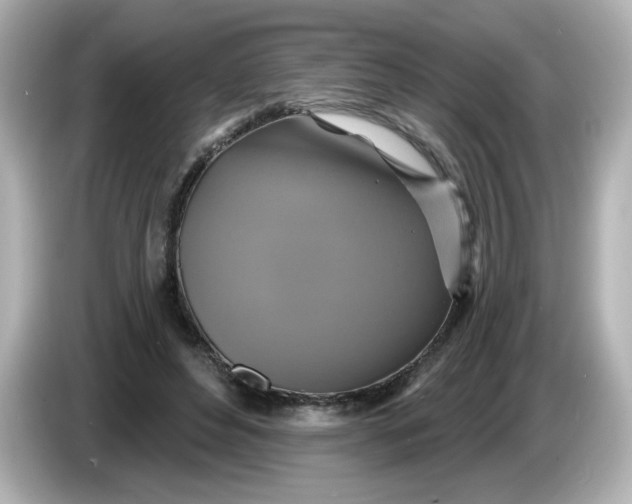 X0000086020496200704091116