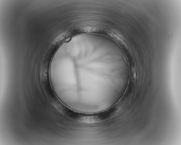X0000086020499200704091116