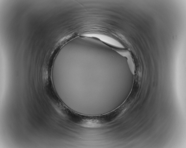 X0000086020500200704091116