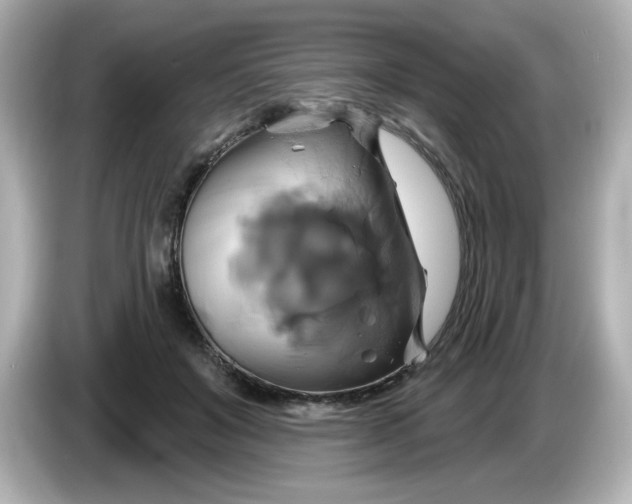 X0000086020503200704091116