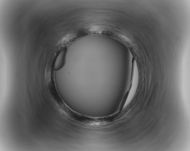 X0000086020504200704091116