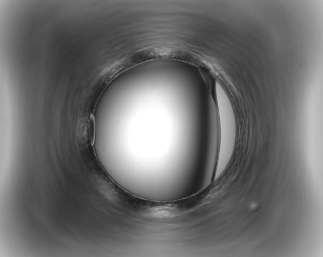 X0000086020505200704091116