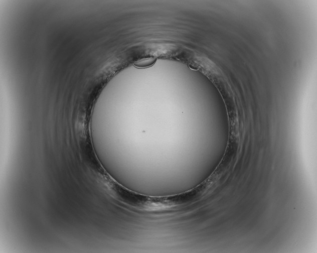 X0000086020510200704091116