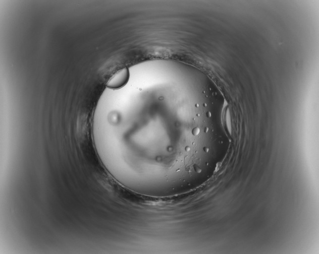 X0000086020511200704091116