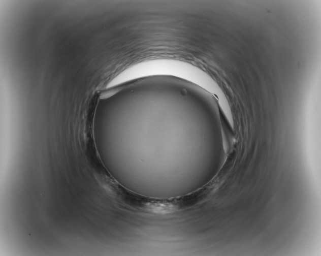 X0000086020512200704091116