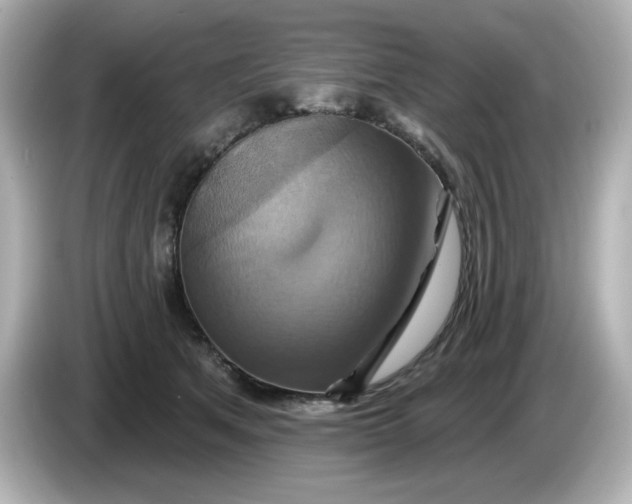 X0000086020513200704091116