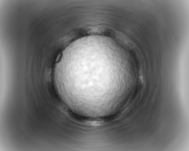 X0000086020514200704091116