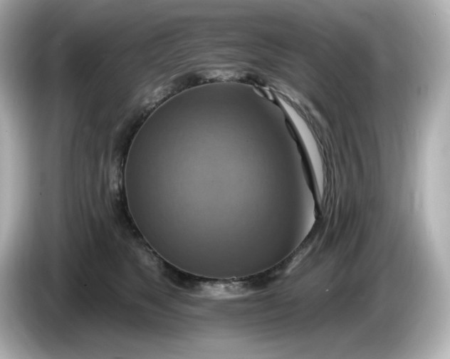 X0000086020517200704091116