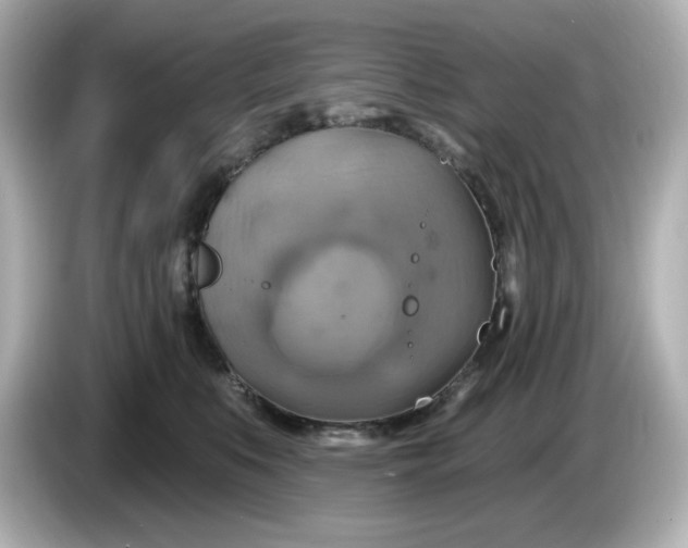 X0000086020519200704091116