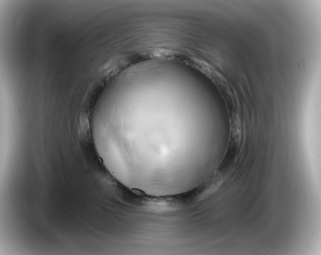 X0000086020523200704091116