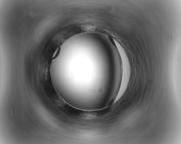 X0000086020525200704091116