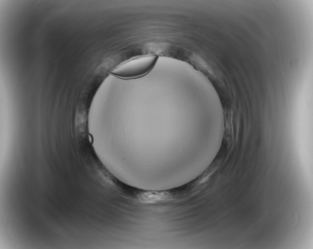 X0000086020526200704091116