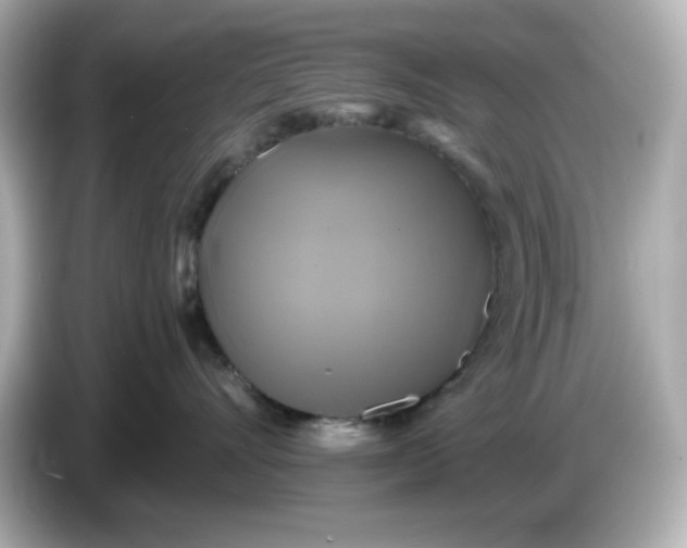 X0000086020528200704091116