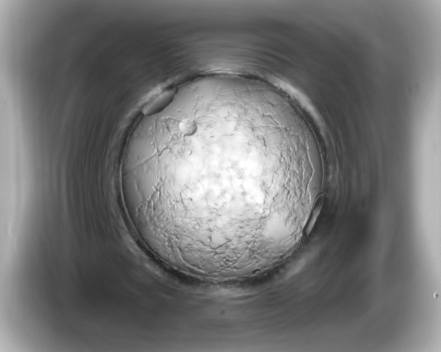 X0000086020529200704091115