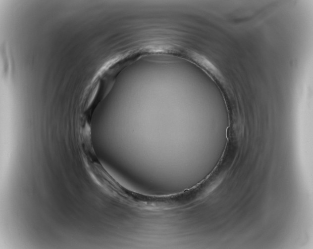 X0000086020530200704091115