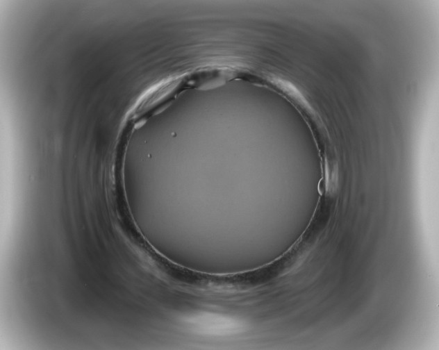 X0000086020531200704091115