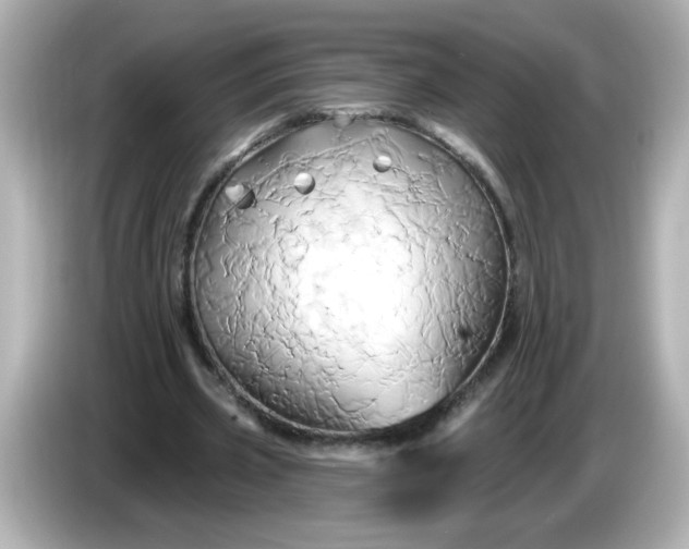 X0000086020533200704091115