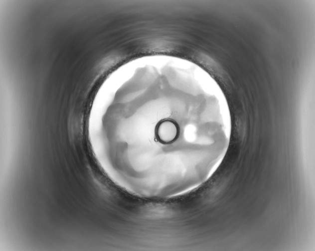 X0000086020534200704091115