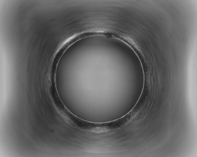 X0000086020536200704091115