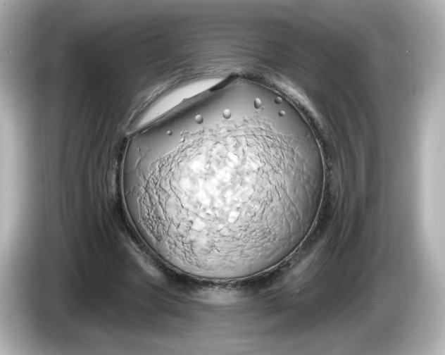 X0000086020537200704091115