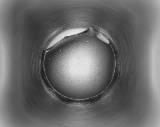 X0000086020538200704091115