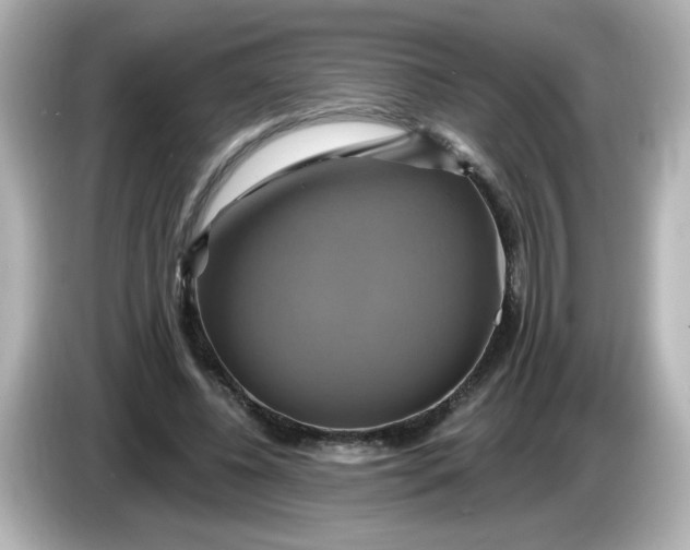 X0000086020540200704091115
