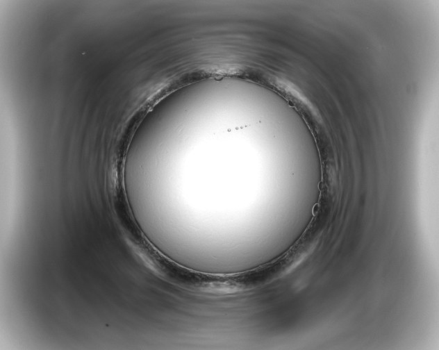 X0000086020541200704091115