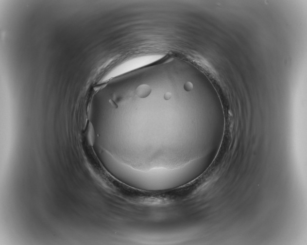 X0000086020542200704091115