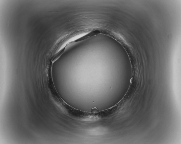X0000086020543200704091115