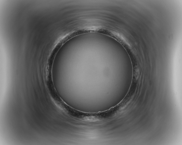 X0000086020544200704091115