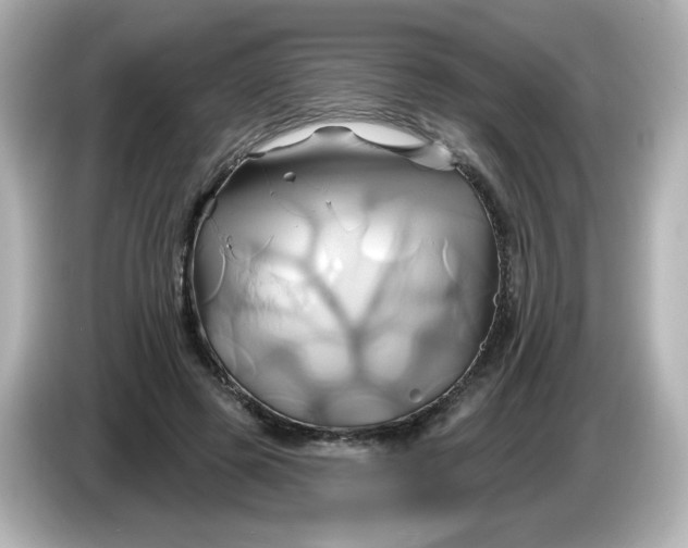 X0000086020545200704091115