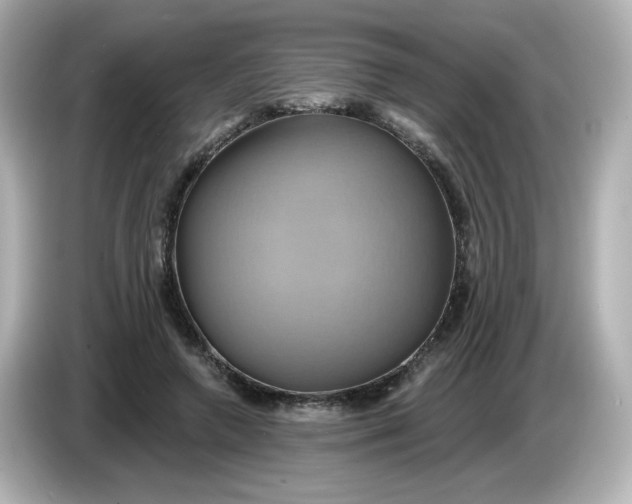 X0000086020546200704091115