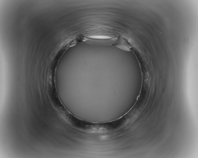 X0000086020547200704091115