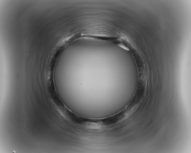 X0000086020548200704091115