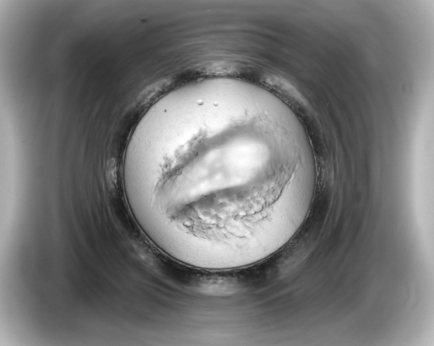 X0000086020549200704091115