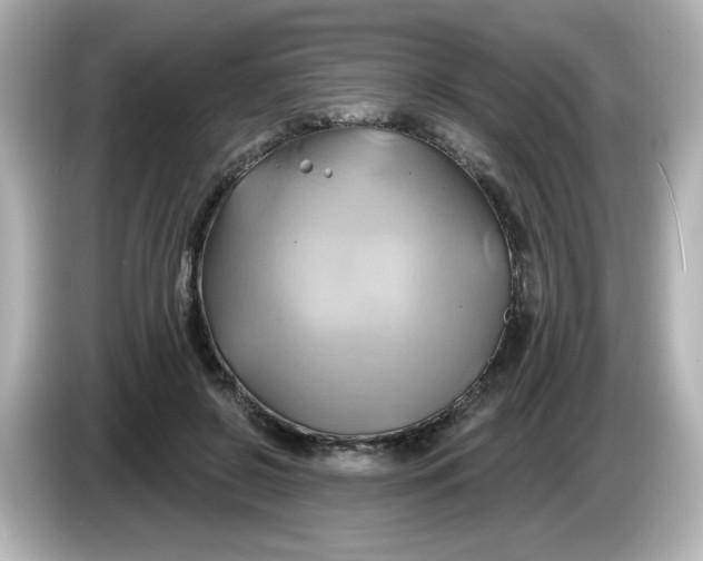 X0000086020550200704091115