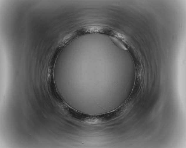 X0000086020551200704091115
