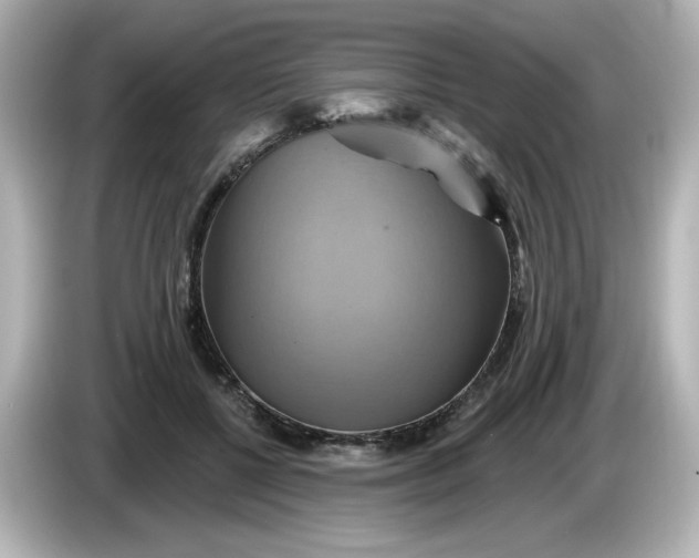 X0000086020552200704091115