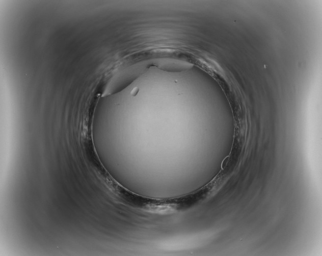 X0000086020553200704091115