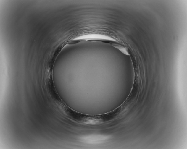 X0000086020555200704091115