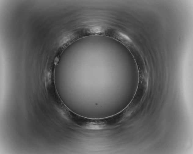 X0000086020556200704091115