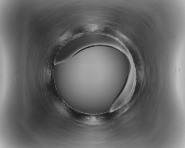 X0000086020558200704091115