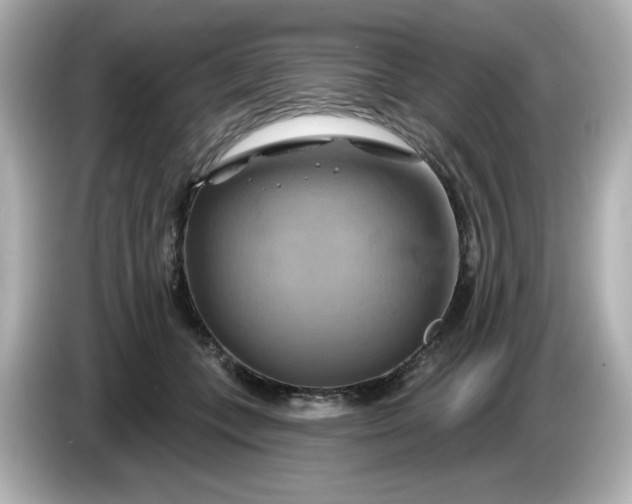 X0000086020559200704091116