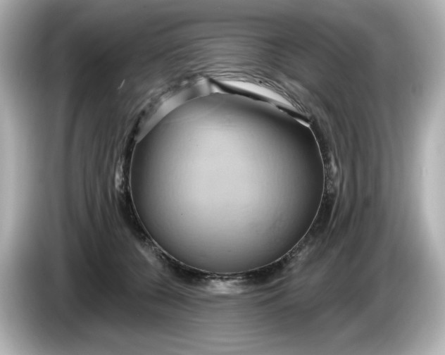 X0000086020560200704091116