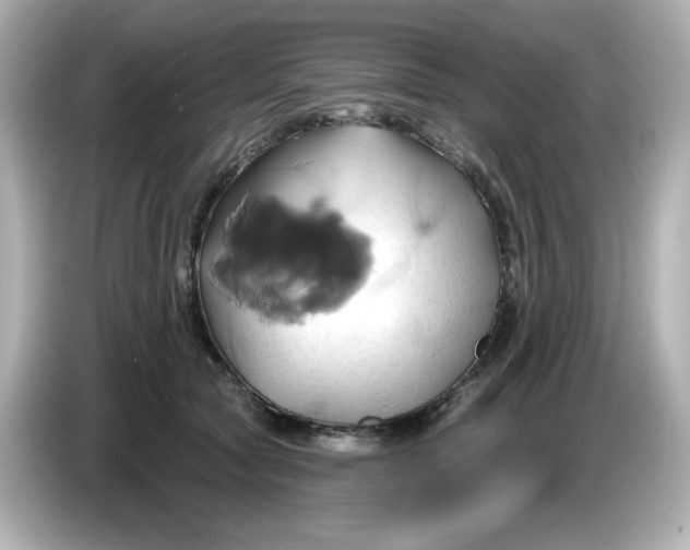 X0000086020561200704091116