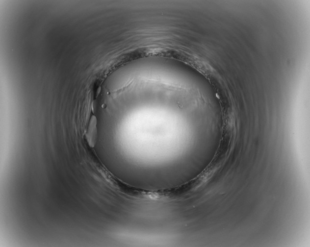 X0000086020565200704091116