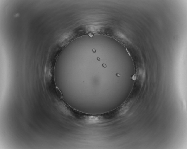 X0000086020566200704091116