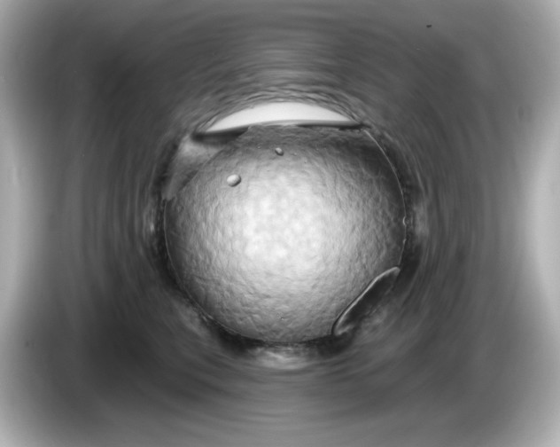 X0000086020567200704091116