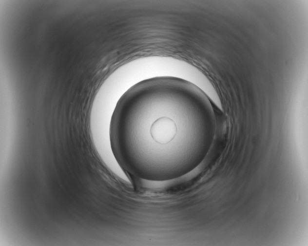 X0000086020568200704091116