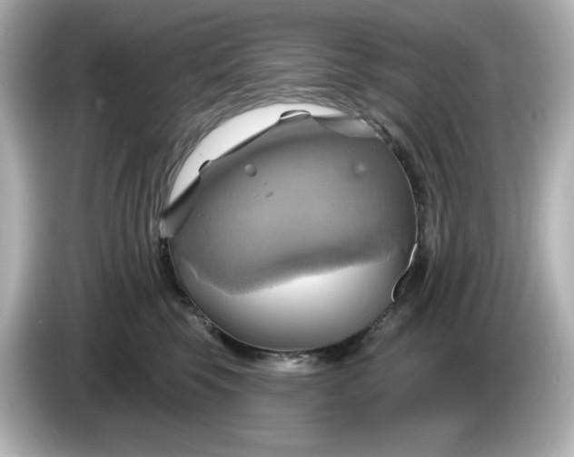 X0000086020569200704091116